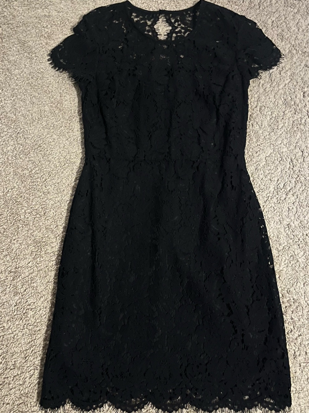 Banana Republic Black Lace Short-Sleeve Sheath Dress